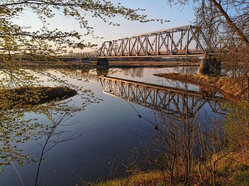 Nad Odrą jest pięknie. Zanim zagospodarowane zostaną...