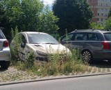 Wraki Krakowa, czyli niszczejące auta szpecące miasto