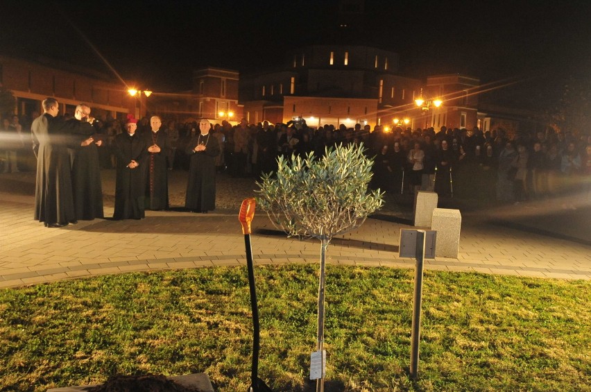 Kraków. Powstaje ogród oliwny w sanktuarium Jana Pawła II [ZDJĘCIA]