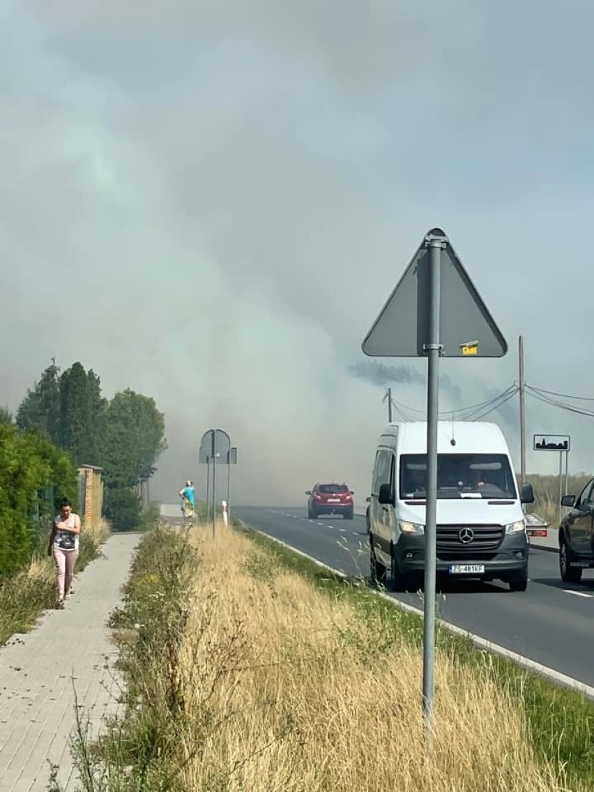 Pożar zboża pod Szczecinem. Strażacy walczą z żywiołem [ZDJĘCIA]