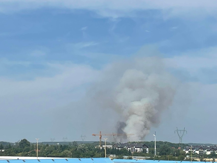 Pożar zboża pod Szczecinem. Strażacy walczą z żywiołem [ZDJĘCIA]