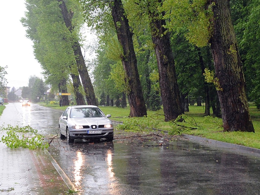 W nowosądeckim Parku Strzeleckim zrobiło się jaśniej