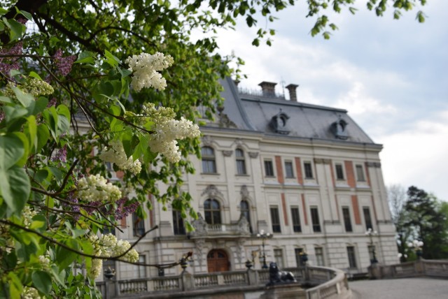 Muzeum Zamkowe w Pszczynie