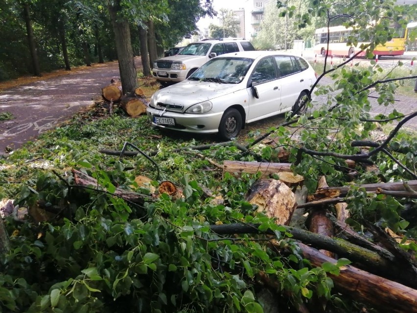 Burza z gradobiciem w Łodzi. Wiatr wyrywał drzewa z korzeniami 26.08.2020 ZDJĘCIA 