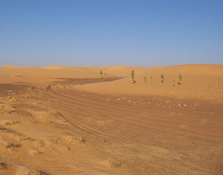 Ślady rajdowych samochodów na pustyni Sahara