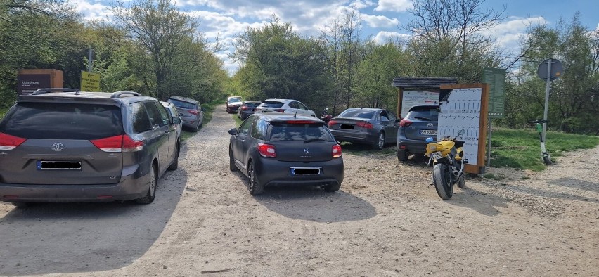 Mieszkańcy obawiają się o miejska parkingowe przy Parku Zakrzówek. „Kierowcy już parkują, gdzie popadnie"