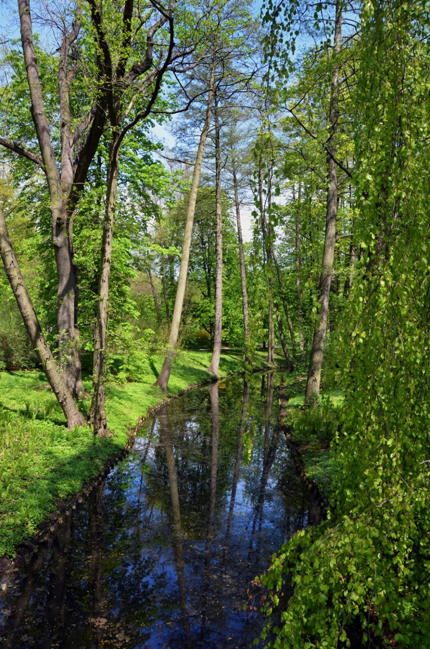 Wiosenne Łazienki