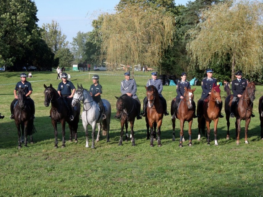 Policja konna z Częstochowy