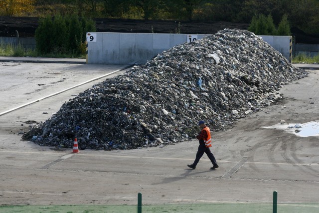 Zbiórka śmieci w Legnicy na przełomie roku