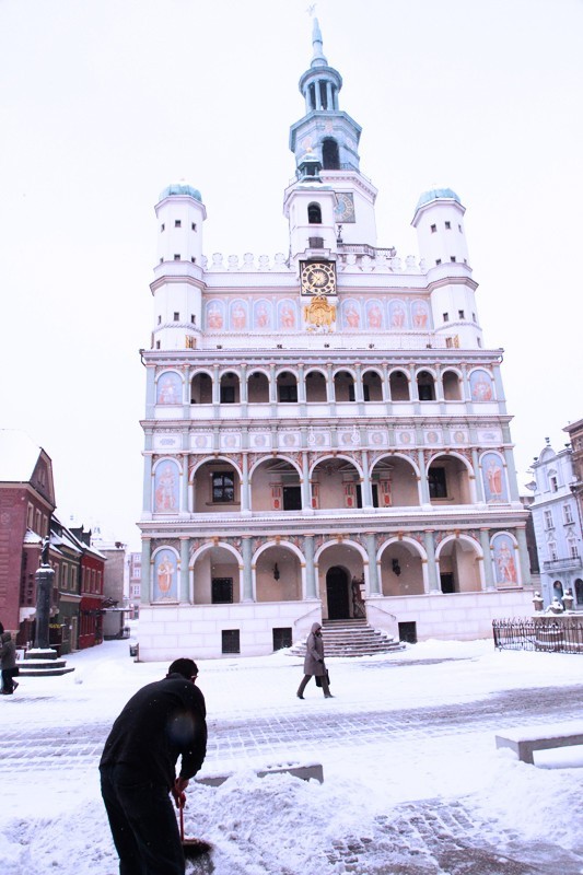 Zobacz jak wygląda zaśnieżony Poznań [ZDJĘCIA]