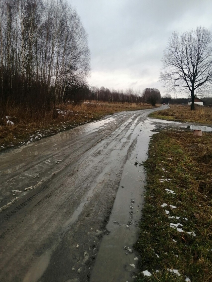 Tak wyglądają drogi gruntowe w Zduńskiej Woli po roztopach. Tak źle dawno nie było 