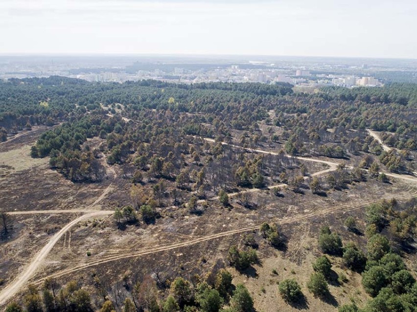 Zniszczenia po pożarze w Dolinie Śmierci. Zobacz zdjęcia z drona!