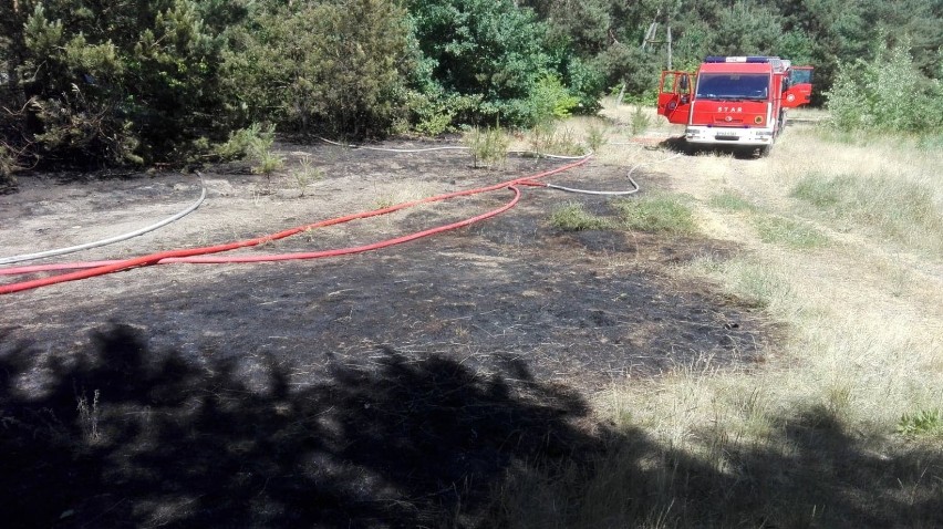 Pożar trawy w Antoniewie. Sytuację opanowali strażacy z OSP Skoki