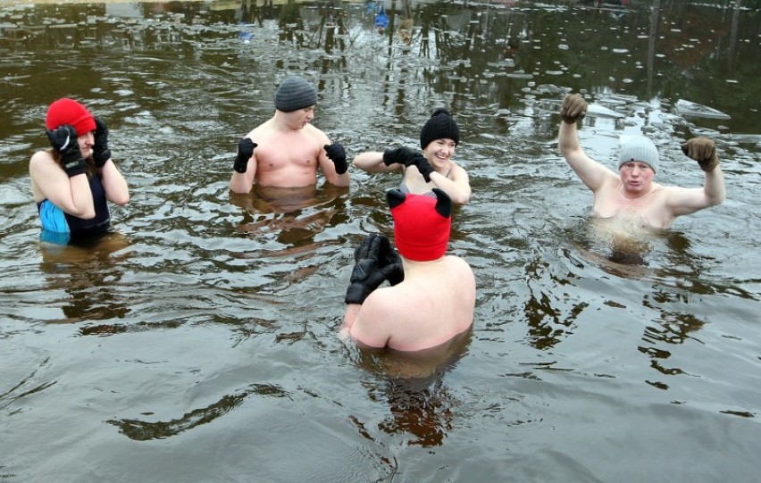 Kąpiel morsów w Szczecinie