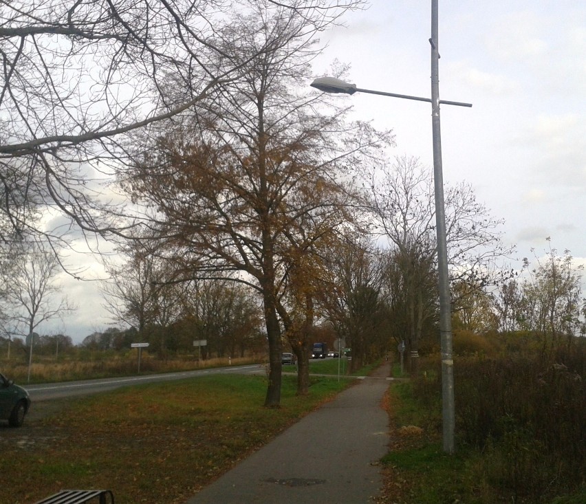 Lampa stoi kilkadziesiąt metrów za skrzyżowaniem, które miała oświetlać