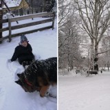 Nadejście zimy w obiektywie Czytelników z Puław!