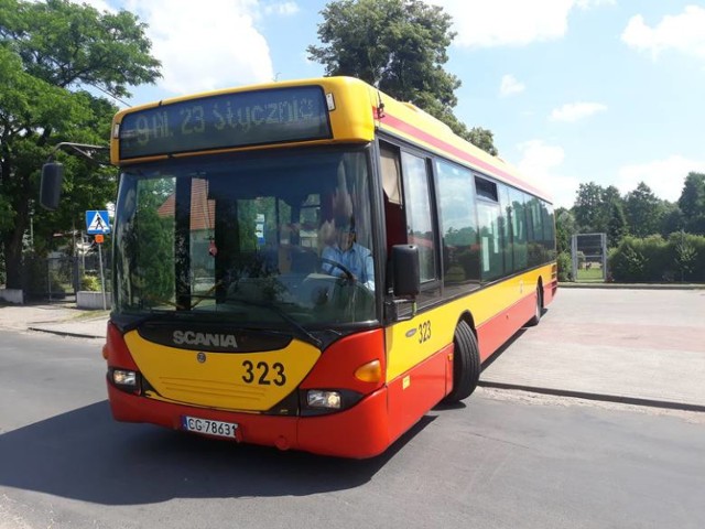 MZK Grudziądz chce zatrudnić 10 kierowców autobusów