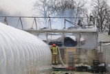 Pożar w zakładzie ogrodniczym przy Kwiatowej w Serbach koło Głogowa