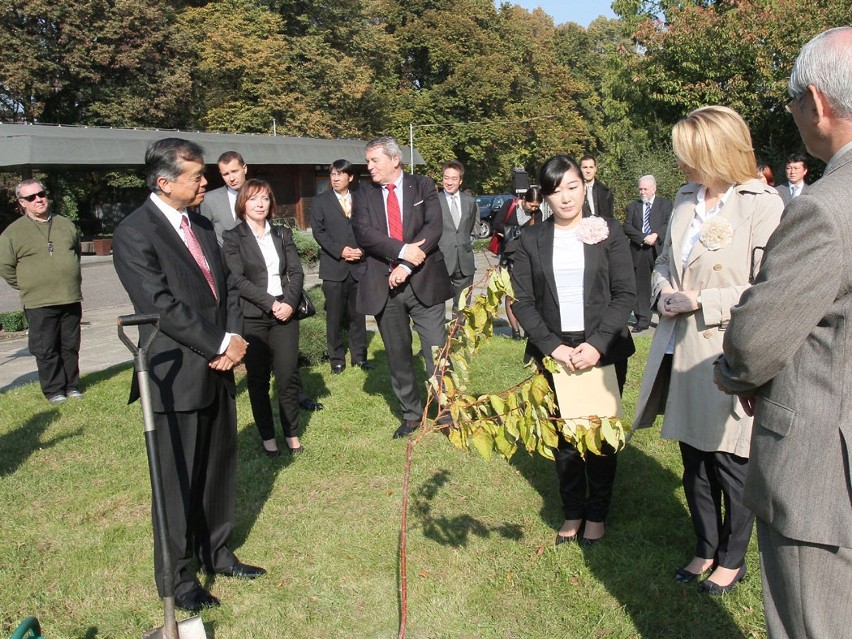 Ambasador Japonii w ogrodzie botanicznym w Łodzi sadził...