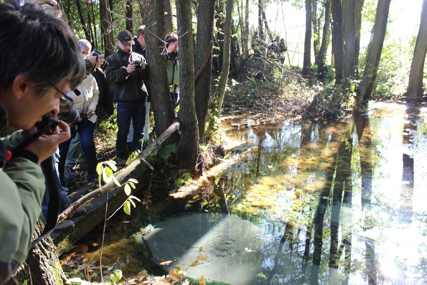 Załęczański Park Krajobrazowy został utworzony w 1978 roku,...