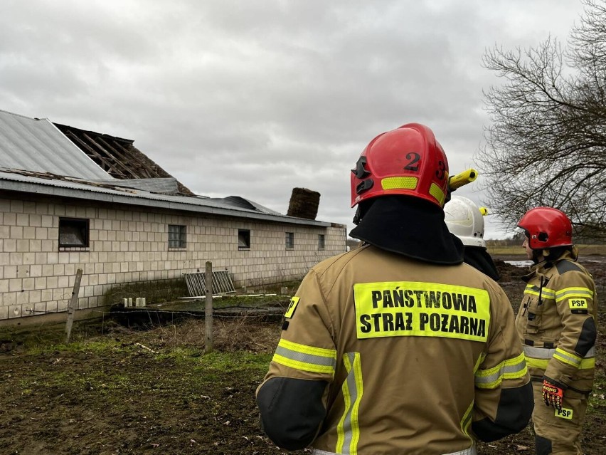 Strażacy podsumowali interwencje związane z orkanem Otto. Szczęśliwie dla mieszkańców naszego regionu Łódzkie ominęły dramaty ZDJĘCIA