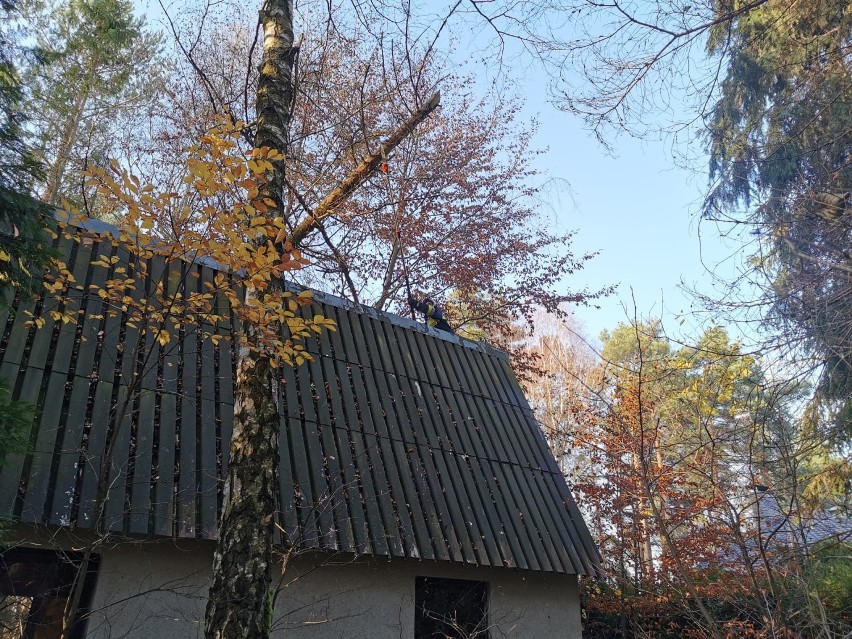 Drzewo przewróciło się na budynek w Czarnym Lesie