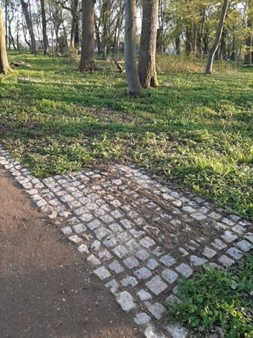 Gmina Pruszcz Gdański. W parku w Wojanowie skradziono ławki. To nie jedyny akt wandalizmu!