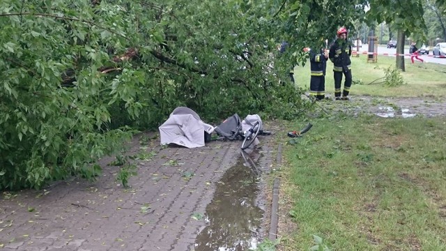 Drzewo upadło na wózek z małym dzieckiem w alei Waszyngtona [ZDJĘCIA]