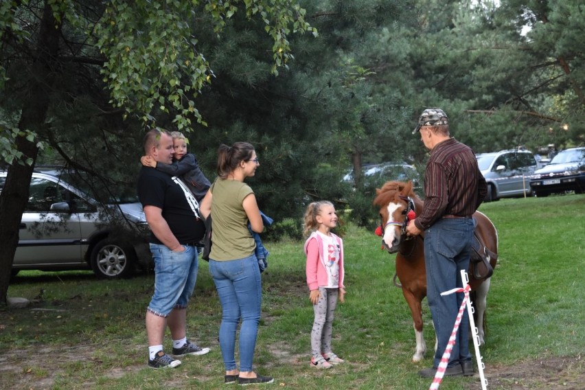 Mieszkańcy powiatu bawili się przy dźwiękach muzyki disco w Strudze