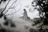 Czartoria. Strażacy walczą z ogniem na wysypisku śmieci [zdjęcia]
