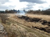 Znów wypalane są trawy. Strażacy z Kutna i Łęczycy interweniowali już 17 razy, ARiMR ostrzega rolników przed konsekwencjami