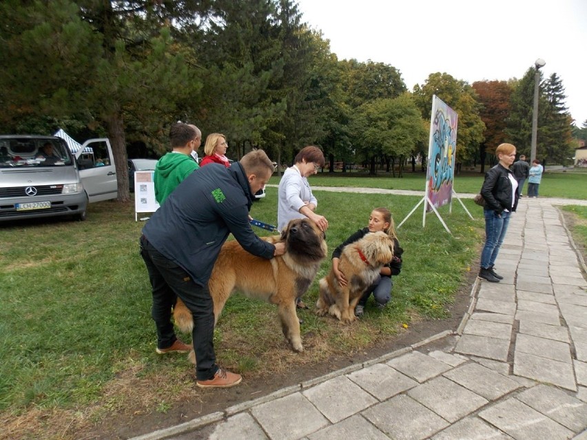 Festyn dla miłośników zwierząt w Chełmie