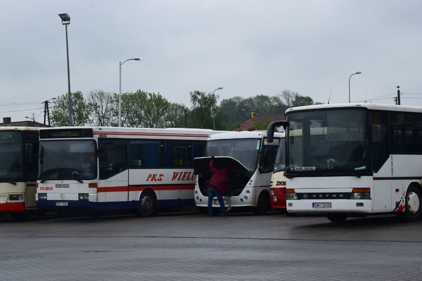 PKS Wieluń reaktywuje połączenia, choć jeszcze nie wszystkie FOTO