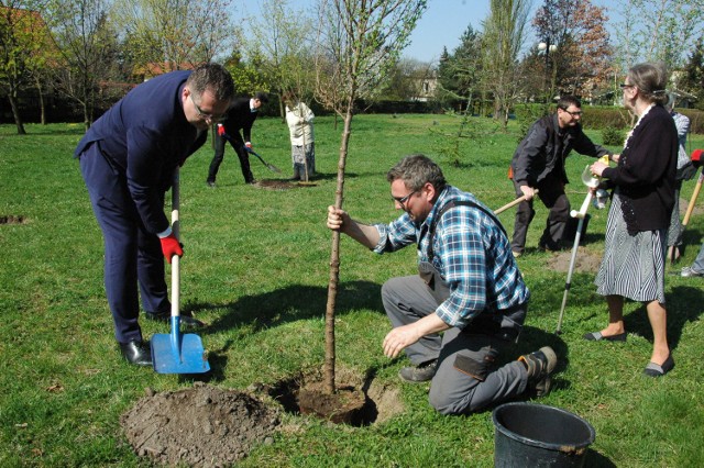 "Zielony Kalisz". Przed DPS-em zainaugurowano akcję sadzenia drzew w mieście [FOTO]