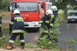 Wichura nad powiatem krotoszyńskim. Połamane drzewa, gałęzie na drogach [ZDJĘCIA]                    