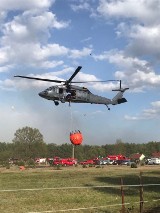 Wielkie pożary lasów koło Nowego Miasta nad Pilicą. Na pomoc ruszyły jednostki straży z Łódzkiego