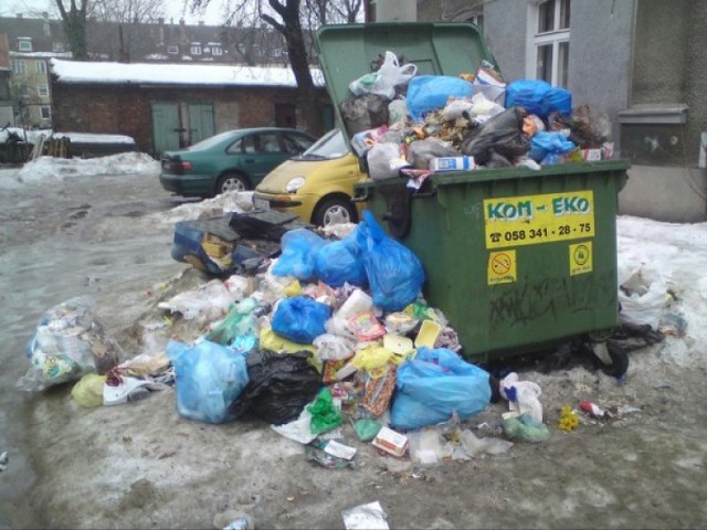 Na walkę ze śmieciami na terenie miasta, Gdańsk wyda w tym roku ...