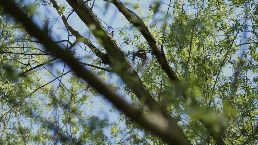 Dzień Natura 2000. To także święto plaż nad Wisłą. O czym pamiętać korzystając z tych miejsc? 