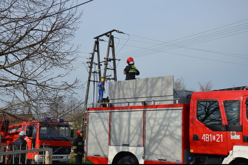 Ćwiczenia Państwowej Straży Pożarnej w Mogilnie i ENEA Operator Rejon Dystrybucji Mogilno