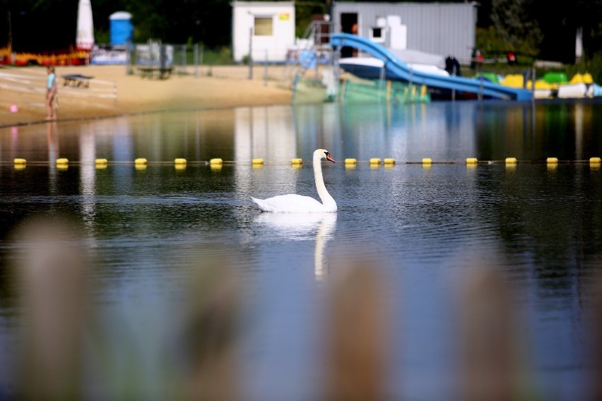 Zakaz kąpieli w miejskim kąpielisku "Słoneczko" na Bugaju