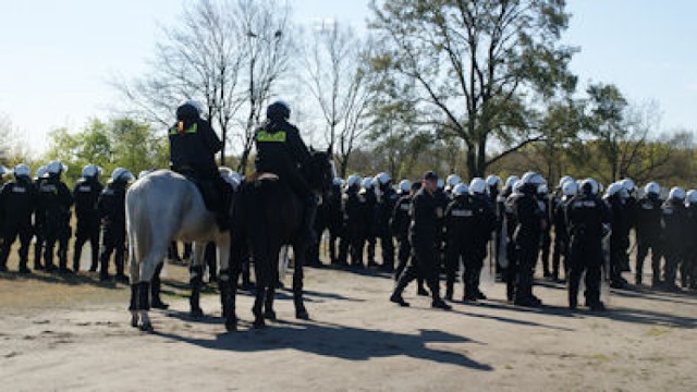 Szczecin: Egzamin dla policyjnych koni i jeźdźców [ZDJĘCIA]