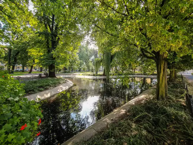 Parku przy placu Kościuszki w Lesznie wiele miast może nam pozazdrościć