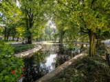 Piękny leszczyński park przy placu Kościuszki w samym sercu Leszna. Latem jest najładniejszy