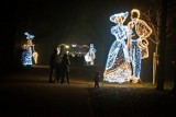 Świąteczna iluminacja w Łazienkach. Królewskie ogrody ponownie pięknie rozbłysną