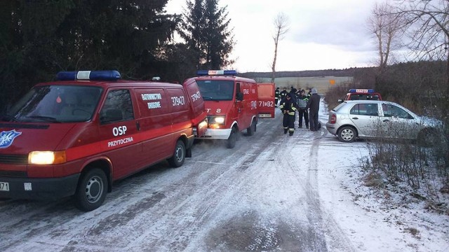 Ptasią grypę wykryto u indyków na fermie koło Przytocznej.