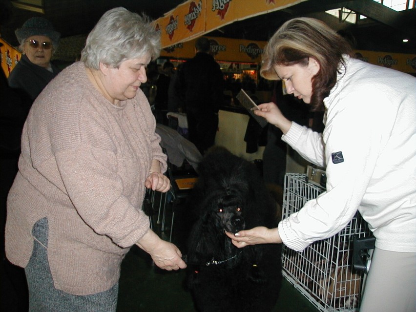 Wystawa Champion of Champion's w Lesznie z 2004 roku