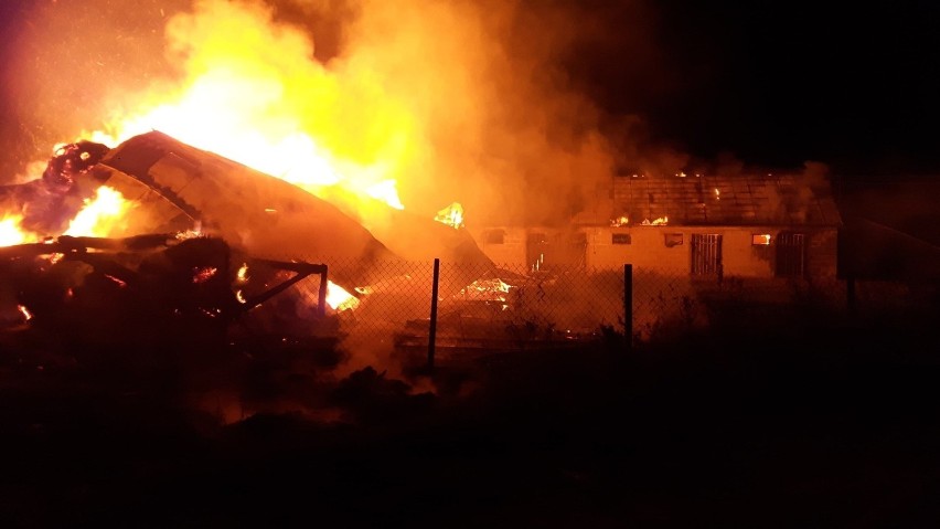 Kosewo. Przez kilka miesięcy wybuchło tu pięć pożarów.