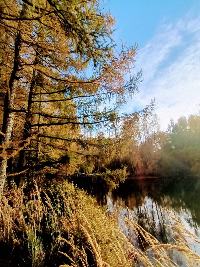 Złota jesień 2023 - powiat sławieński