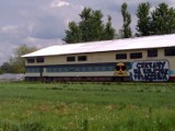 Zamość: Graffiti w obronie kolei (foto)