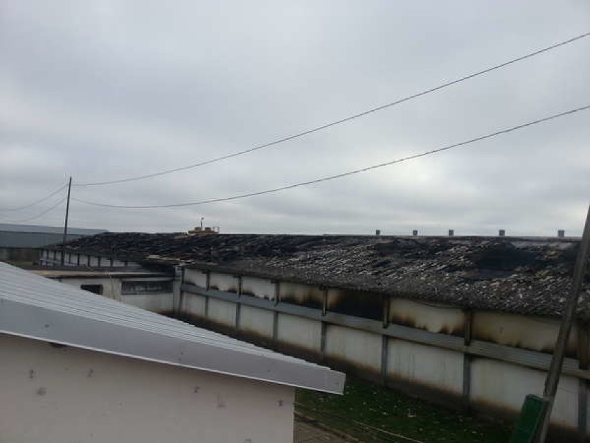 Pożar fermy indyków w Stradunach koło Ełku